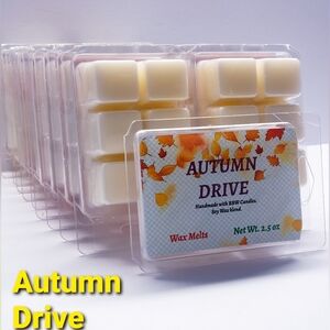 AUTUMN DRIVE -Bath & Body Works Candle Wax Melts- $8 per Pack